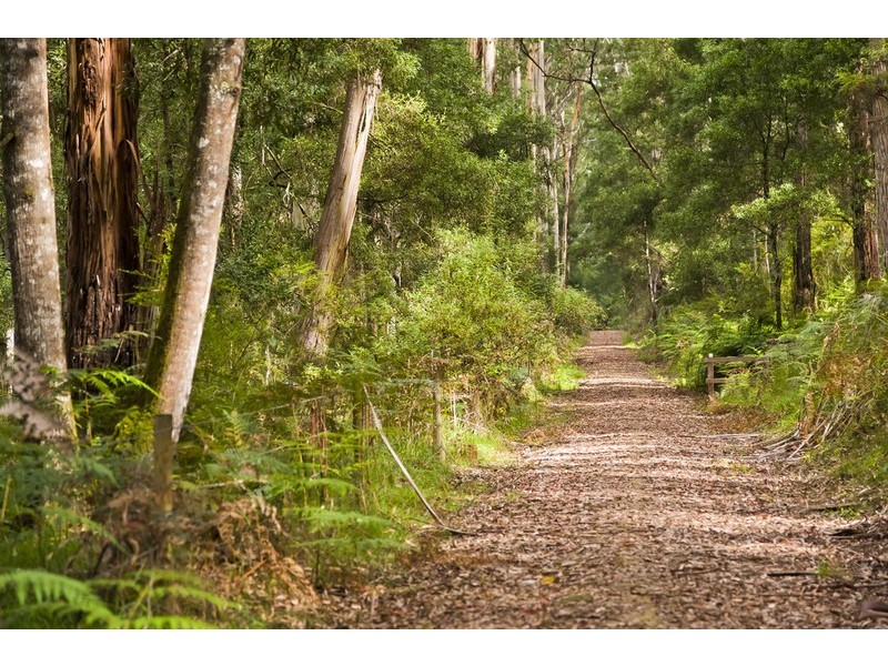 2045 Birregurra-Forrest Road, Forrest VIC 3236