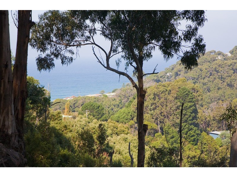 38-40  Riverside Drive, Wye River VIC 3221