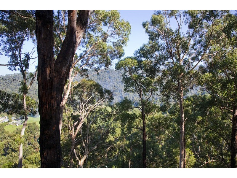 38-40  Riverside Drive, Wye River VIC 3221