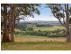 415 Pennyroyal Valley Road, Pennyroyal VIC 3235