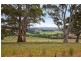 415 Pennyroyal Valley Road, Pennyroyal VIC 3235
