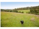 415 Pennyroyal Valley Road, Pennyroyal VIC 3235