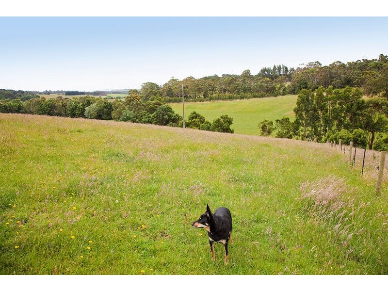 415 Pennyroyal Valley Road, Pennyroyal VIC 3235