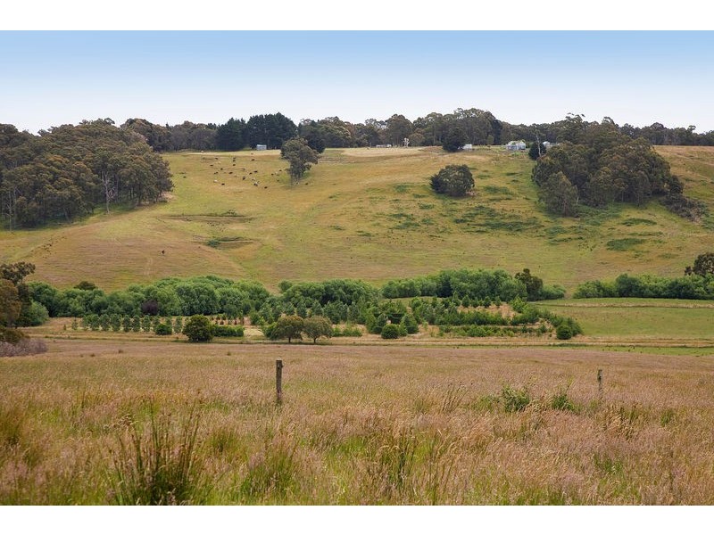 415 Pennyroyal Valley Road, Pennyroyal VIC 3235
