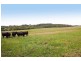 415 Pennyroyal Valley Road, Pennyroyal VIC 3235