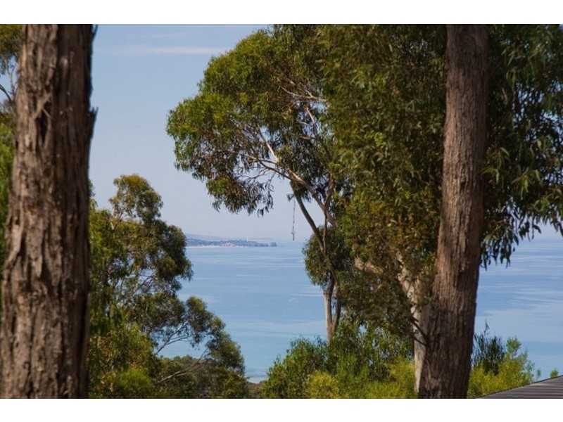 24 Toorak Terrace, Lorne VIC 3232