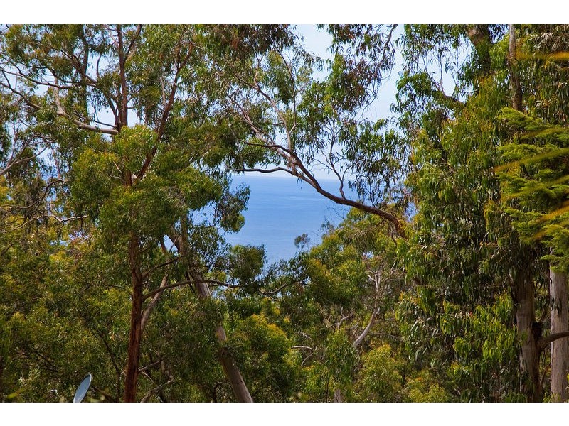1 Ferny Grove, Kennett River VIC 3221