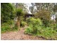 1 Ferny Grove, Kennett River VIC 3221