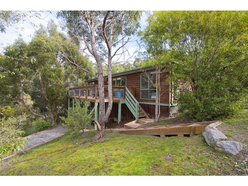 11 Austin Court, Lorne VIC 3232