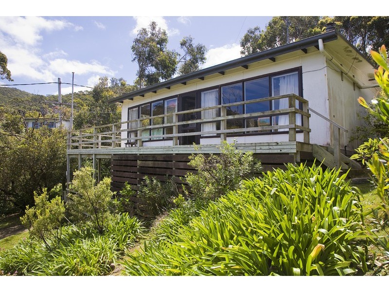 12 Sarsfield Street, Separation Creek VIC 3221