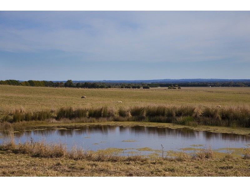 1020 Winchelsea-Deans Marsh Road, Bambra VIC 3241