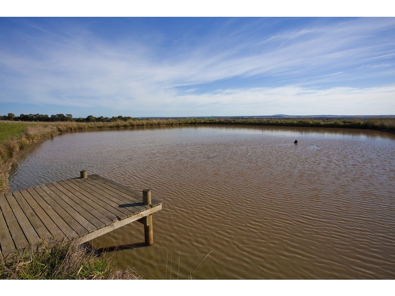 1020 Winchelsea-Deans Marsh Road, Bambra VIC 3241