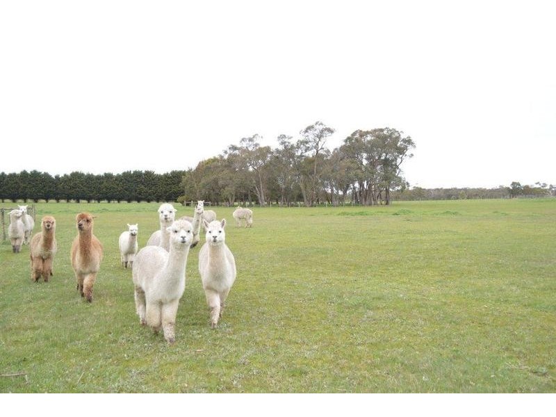 55 Prices Road, Gherang VIC 3240