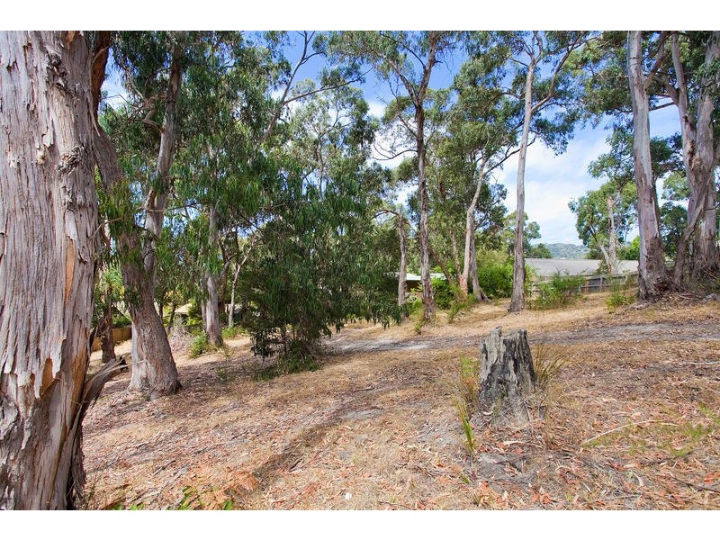 1-3/13-15 Normanby Terrace, Lorne VIC 3232