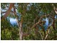 1-3/13-15 Normanby Terrace, Lorne VIC 3232