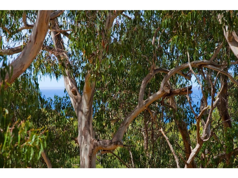 1-3/13-15 Normanby Terrace, Lorne VIC 3232