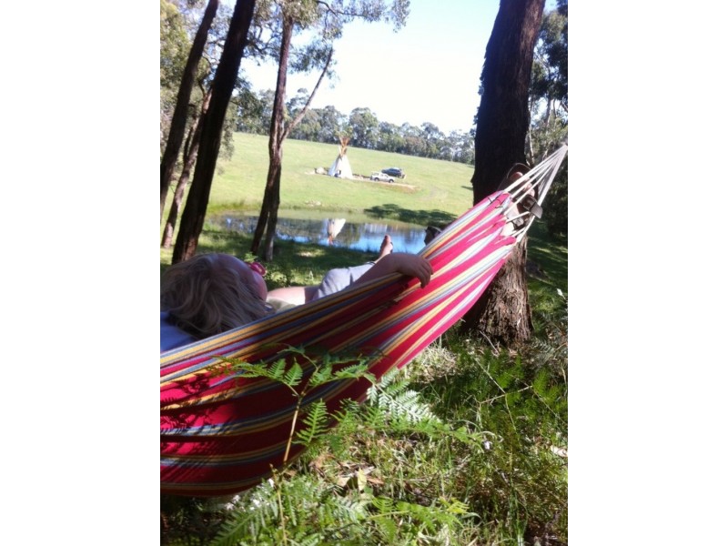 188 Pennyroyal-Wymbooliel Road, Pennyroyal VIC 3235