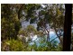 55 George Street, Lorne VIC 3232