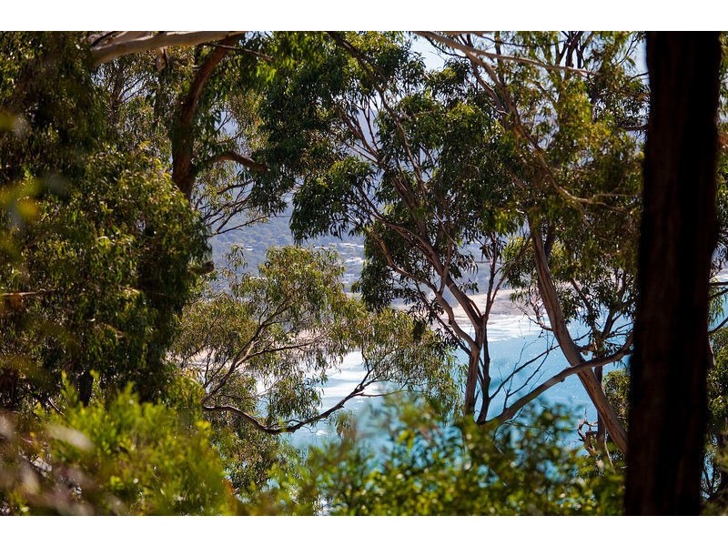 55 George Street, Lorne VIC 3232