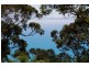 55 George Street, Lorne VIC 3232