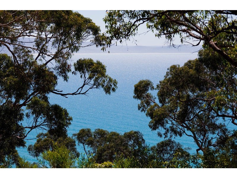 55 George Street, Lorne VIC 3232