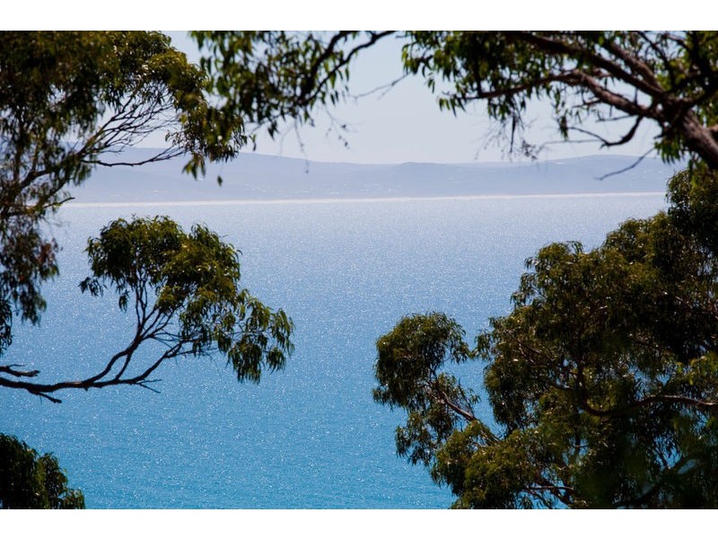 55 George Street, Lorne VIC 3232