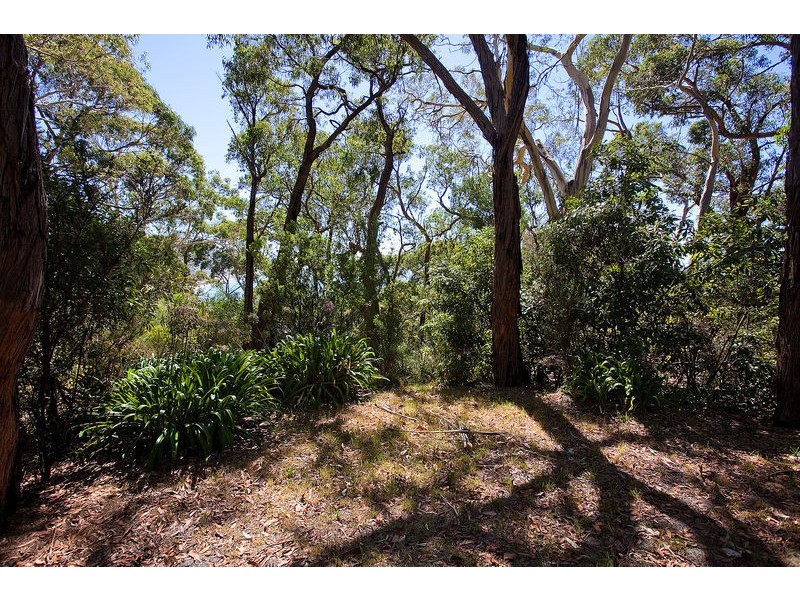 55 George Street, Lorne VIC 3232