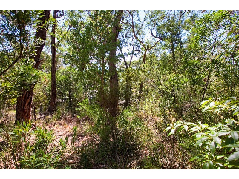 55 George Street, Lorne VIC 3232