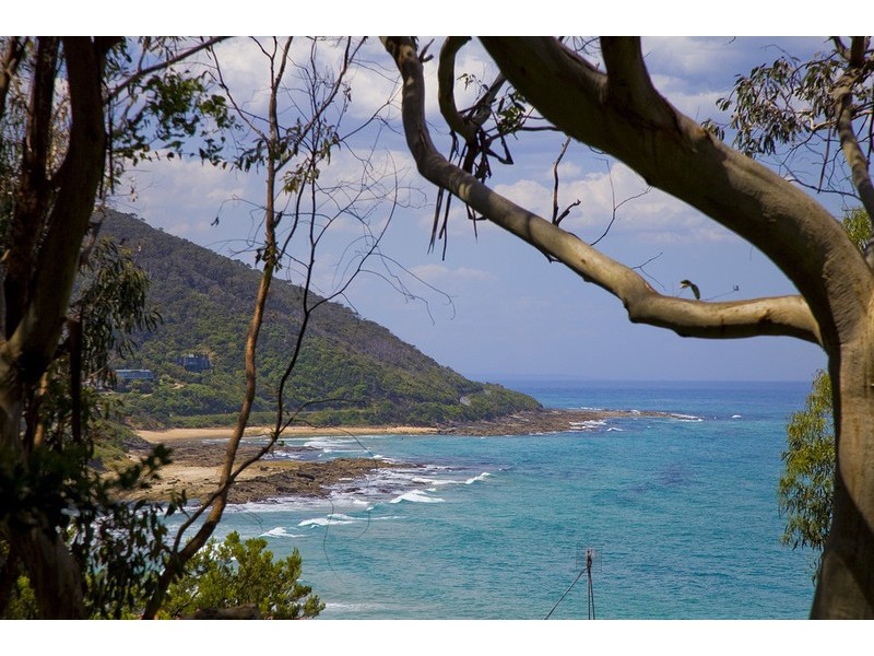 2/3 Great Ocean Road, Wye River VIC 3221