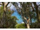 2/3 Great Ocean Road, Wye River VIC 3221