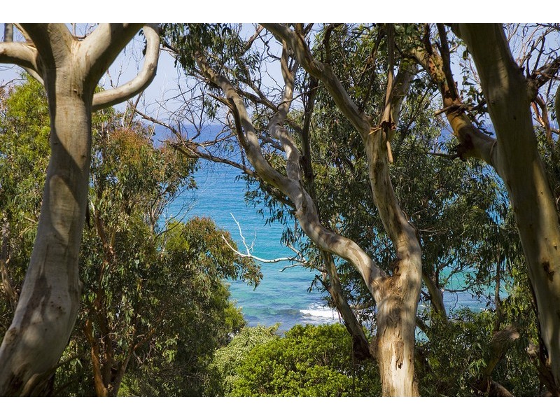 2/3 Great Ocean Road, Wye River VIC 3221