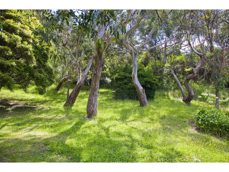 2/3 Great Ocean Road, Wye River VIC 3221