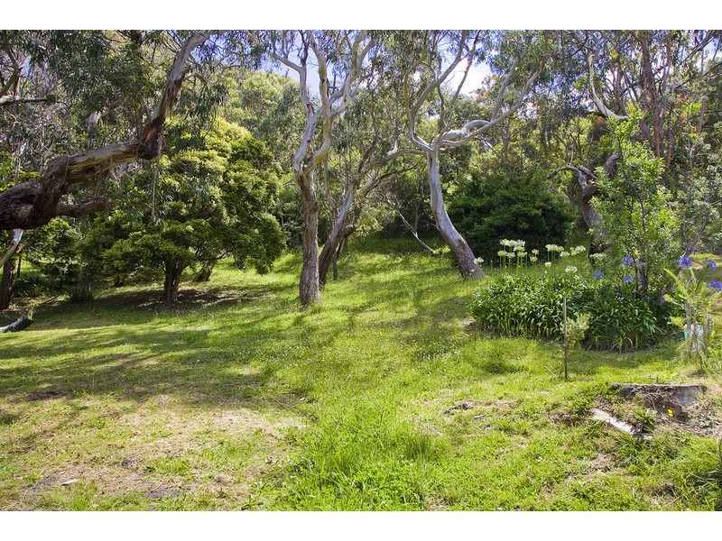 2/3 Great Ocean Road, Wye River VIC 3221