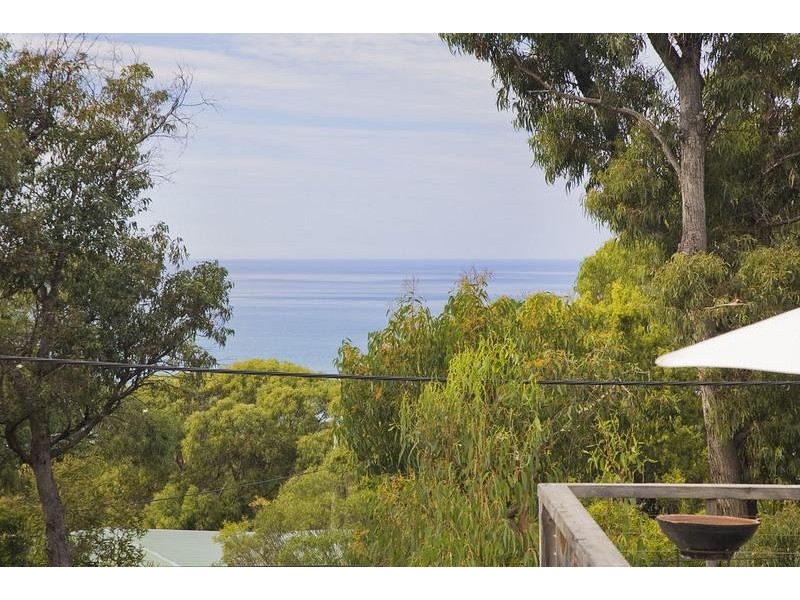 1/77 Deans Marsh Road, Lorne VIC 3232