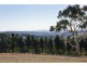 195 Bambra-Boonah Road, Bambra VIC 3241