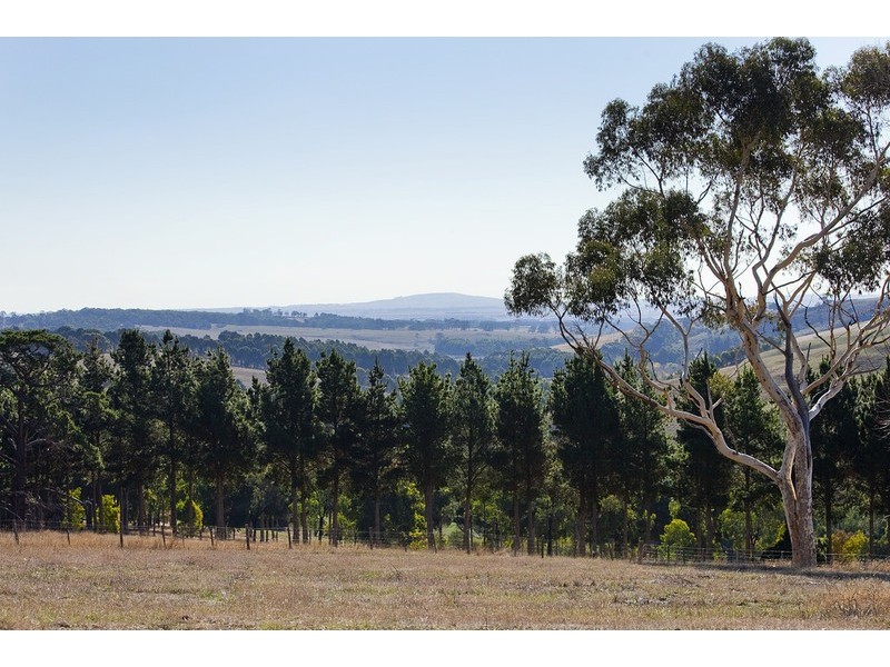 195 Bambra-Boonah Road, Bambra VIC 3241