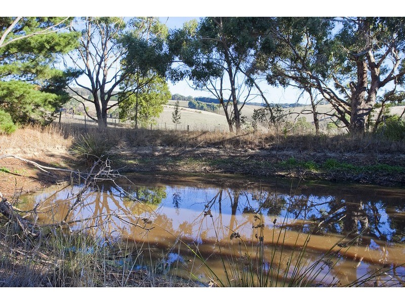 195 Bambra-Boonah Road, Bambra VIC 3241