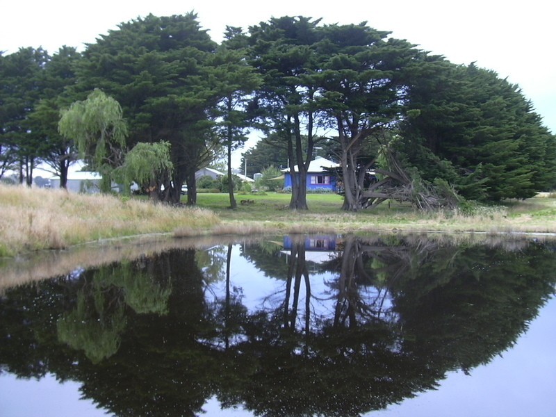 1381 Birregurra – Deans Marsh Road, Deans Marsh VIC 3235