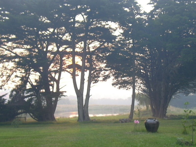 1381 Birregurra – Deans Marsh Road, Deans Marsh VIC 3235