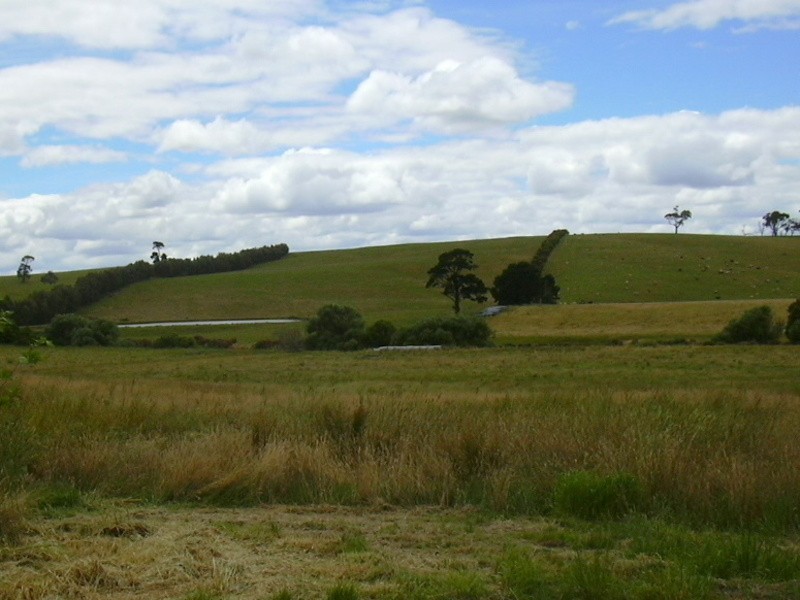 1381 Birregurra – Deans Marsh Road, Deans Marsh VIC 3235