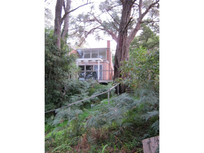 1/48 Polwarth Road, Lorne VIC 3232