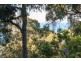 37 Howard Street, Lorne VIC 3232