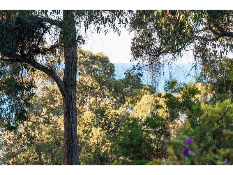 37 Howard Street, Lorne VIC 3232