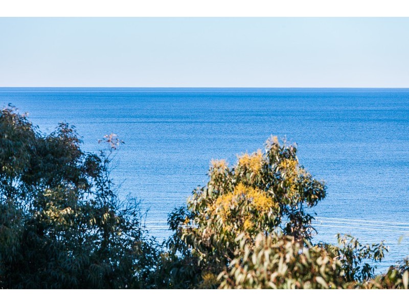 31 Dorman Street, Lorne VIC 3232