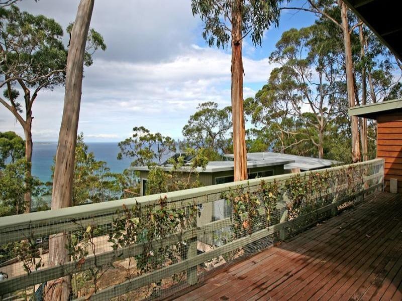 26 Francis Street, Lorne VIC 3232