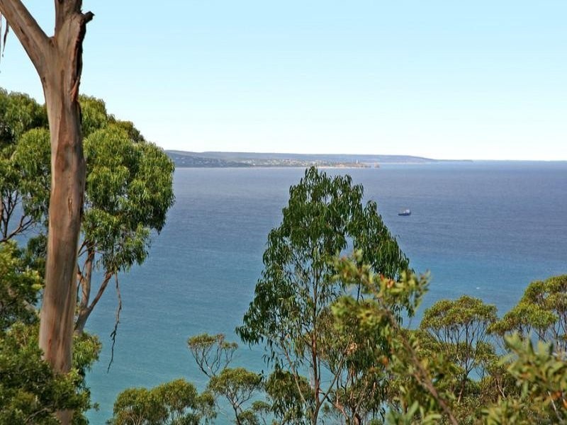 26 Francis Street, Lorne VIC 3232