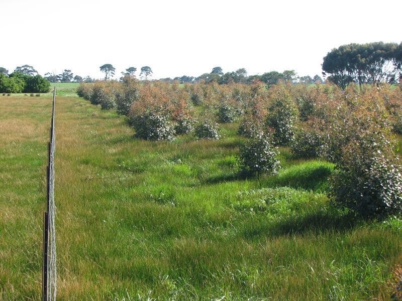 2 Unnamed Road, Cressy VIC 3322