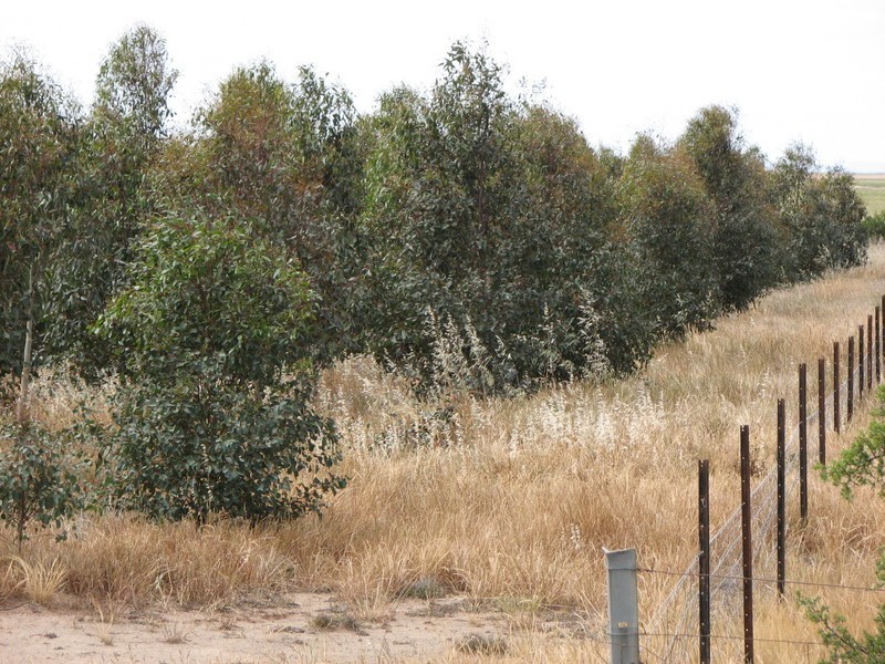 2 Unnamed Road, Cressy VIC 3322