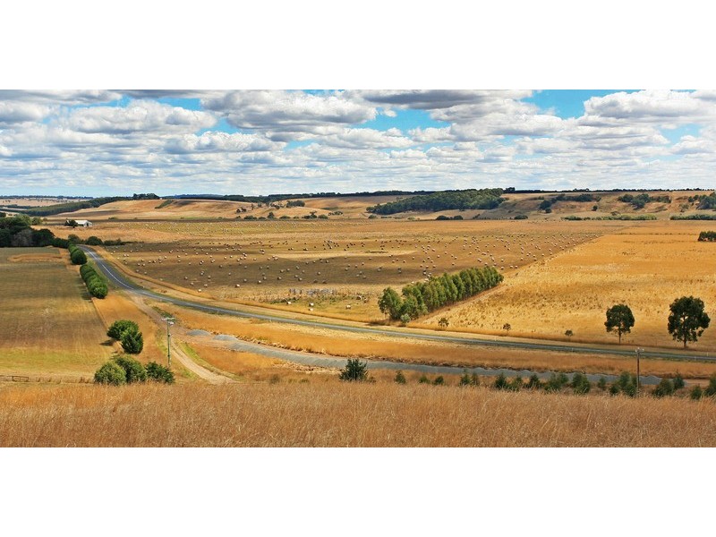 245 Birregurra-Forrest  Road, Birregurra VIC 3242