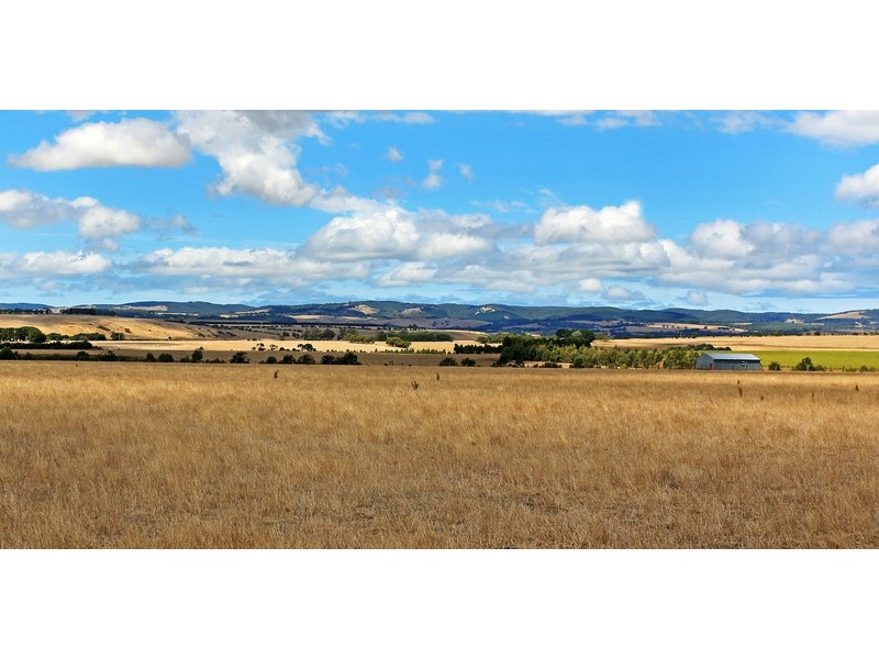 245 Birregurra-Forrest  Road, Birregurra VIC 3242